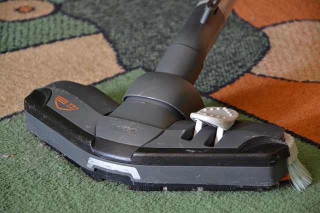 Turn your vacuum into a treat dispenser!