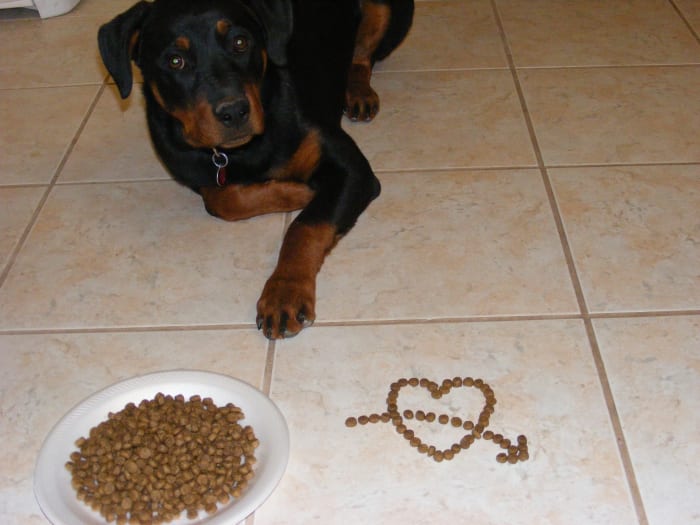 If your dog is experiencing stomach problems, fast him by keeping food away for about 24 hours.