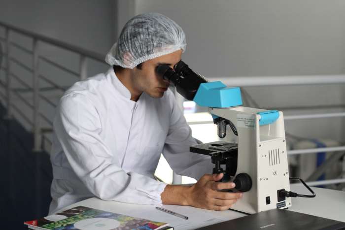Your vet needs lab tests to determine whether or not your dog has a bladder infection, and if so, what is causing it.