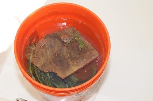 While you are syphoning the water you can begin the soaking and cleaning process on the rocks and plants. It should stand for at least 10-15 minutes or until everything looks clean