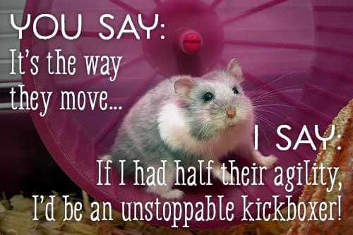 You say it's the way they move. I say if I ever learn to move with half as much agility and speed as a mouse, I will be an unstoppable kickboxer!