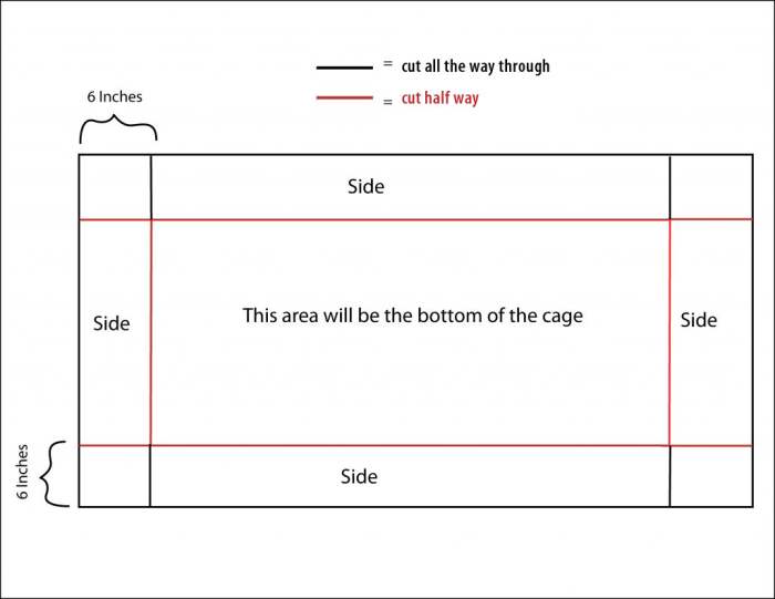 Click to enlarge. Cut red lines only through first layer of coroplast. Cut black lines all the way through the sheet.