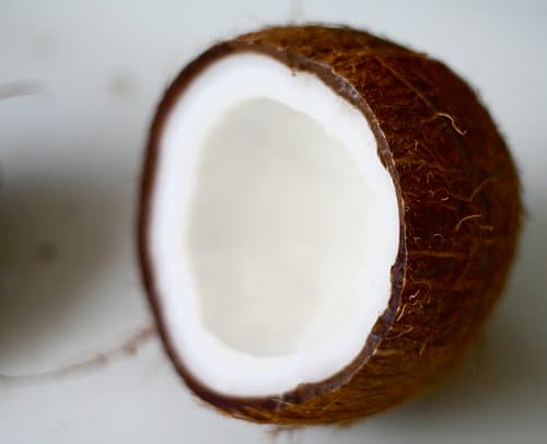 Forest bedding is made of coconut fibers that are very finely shredded. Many crab owners have seen their crabs experience beautiful molts in it.