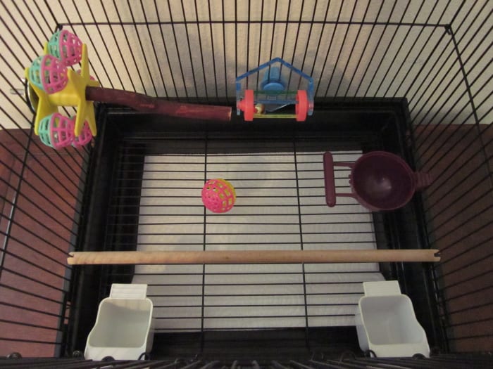 View of a budgie cage from above. Perches and toys can be arranged in such a way that best suits your bird.