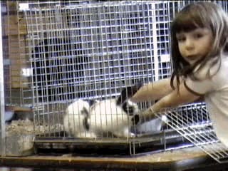 Katy reaching into the cage to get Flossy (Buggy's girlfriend). Flossy was a gentle bunny as long as you supported her properly. She did not like her back feet dangling.