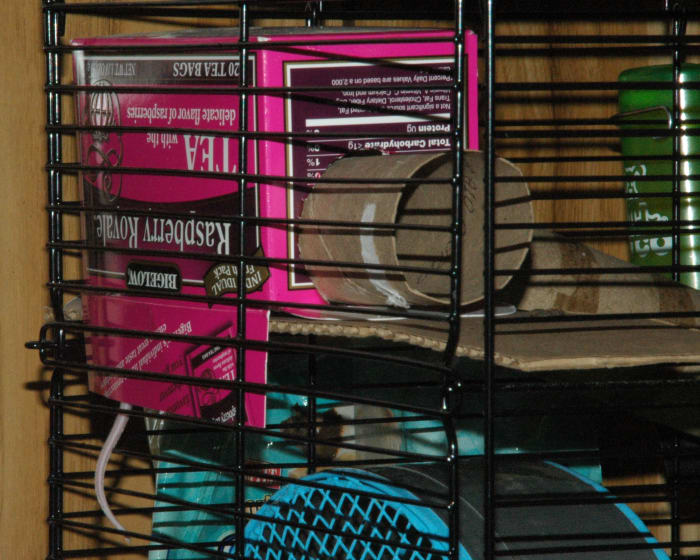 Use boxes, cardboard tubes, and slats to create a changeable environment. Mice will more likely accept new friends if the cage feels different.