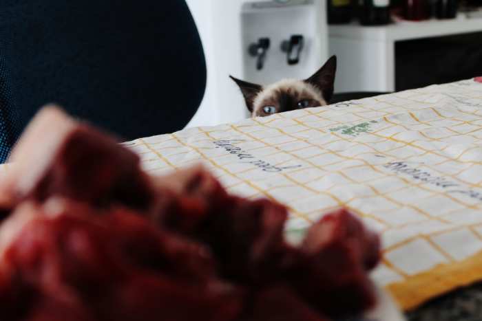 Pet foods are among the products that you should consider upgrading to promote the humane treatment of food animals.