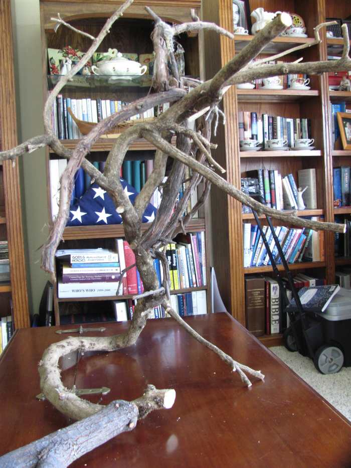 Bird Trees, Perches, and Cages for Cockatiels and Parakeets