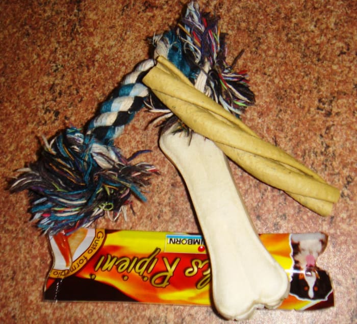 All dogs appreciate chewing but they still need their teeth brushed.