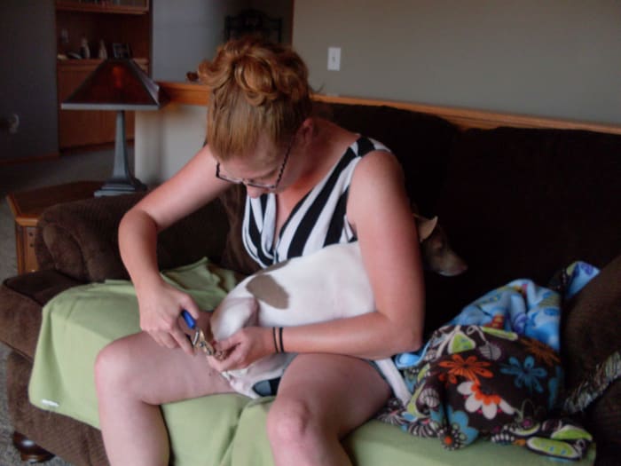 The headlock will help when cutting the back nail of small dogs, and cutting all four paw nails on a large dog. Just place the dog's neck underneath your armpit so they cannot move their head. This protects both you and your dog.