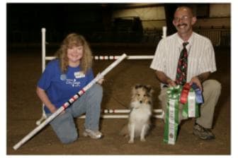 Make sure your instructor has plenty of experience. If they or their students compete in dog sports, check out their accomplishments - or lack thereof.