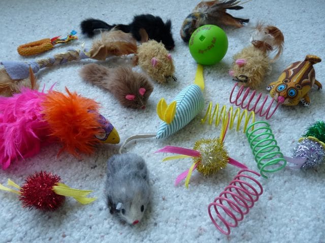 Cat Toys