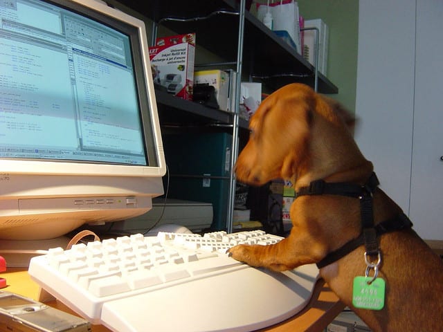 If you download a good P2P, your dog can go on the computer and select the kind of music that helps her to relax.