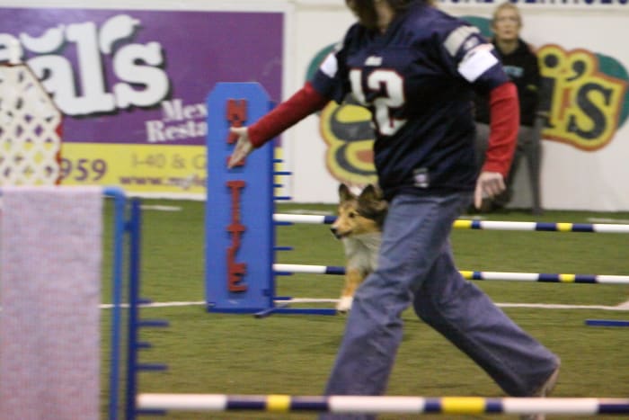 This blue football jersey and the blue jeans will contrast nicely with the brownish-green soccer turf. However the busy nature of the wall advertising and the numbers, letters and logo on the jersey could blend easily.
