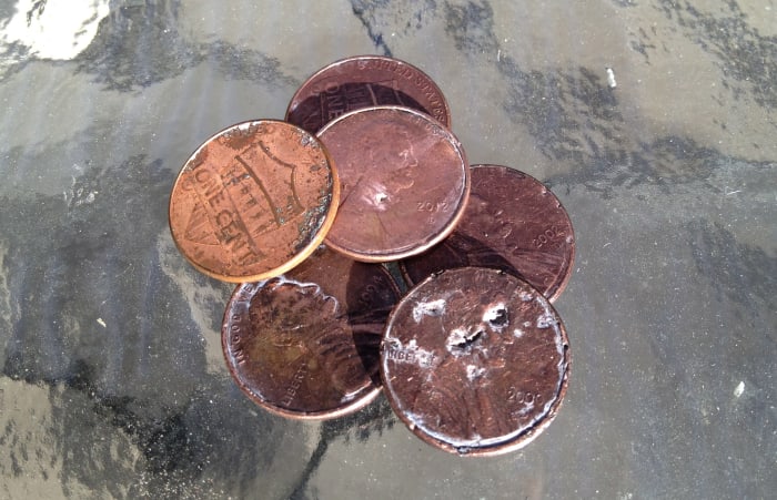 These are the 6 pennies our dog ate. You can see where the metal has disintegrated. Smaller dogs and children are at higher risk for zinc toxicity (Penny is 20 lbs).