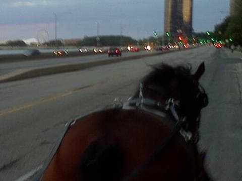 Horses can take us places we never thought we would go and make us see things we have never imagined.
