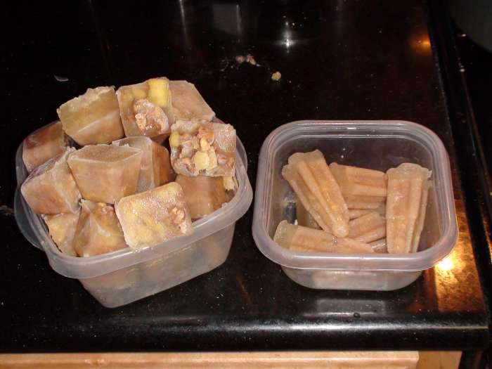 Sweet Potato and Chicken Liver Cubes shown here in two different shapes using ice cube trays and popsicle trays.