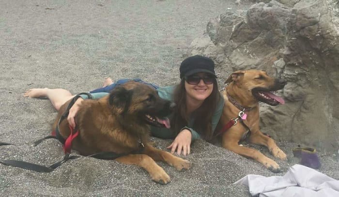 I continue feeding my dogs raw eggs every week with no issues or complaints. Both my dogs remain in pristine health. Here we are at the beach, Zonix (left) and Bella.