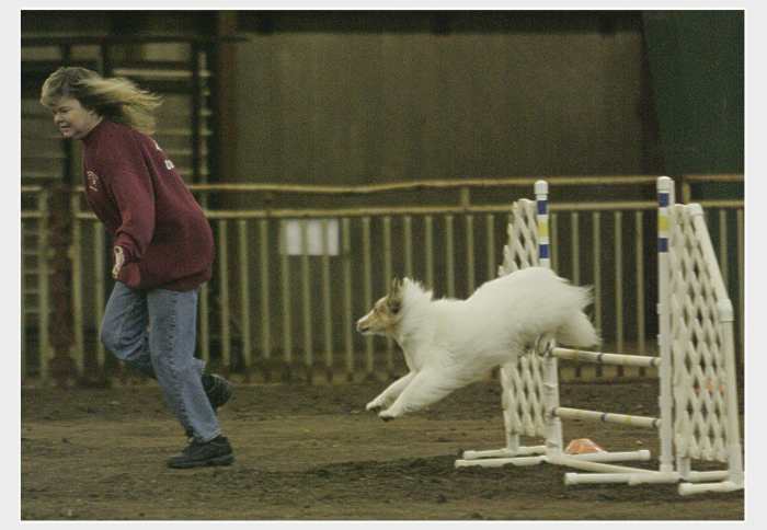 Focus during an agility run requires practice to train the brain.