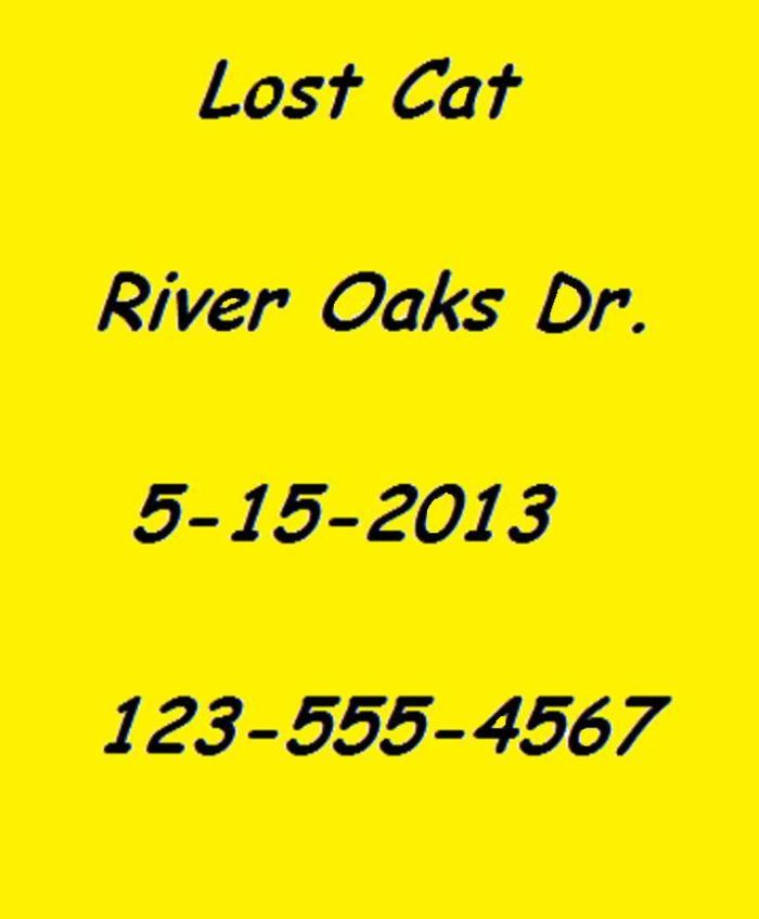 Include just enough information in your flyer. Use brightly colored paper and bold lettering.