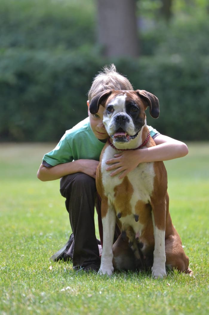 The passing of a family pet can be one of the single most upsetiing things a child experiences. If a pet is in poor health and will soon pass away, be honest with older children so that can have a chance to feel involved in end-of-life planning.