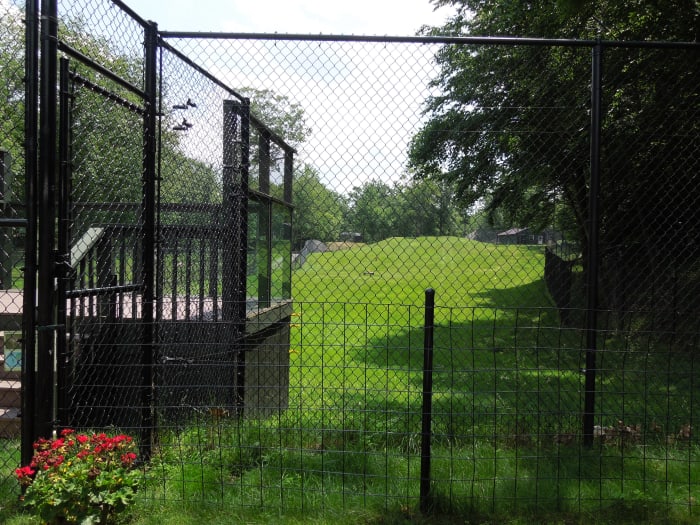 Example of a cheetah breeding enclosure at Leo Zoological Conservation Center. Copyright Melissa Smith. All Rights Reserved.
