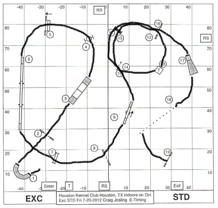 Lost No More How to Memorize a Dog Agility Course PetHelpful