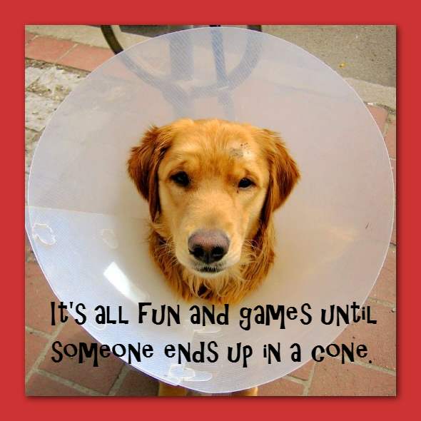 It's all fun and games until someone ends up in a cone.