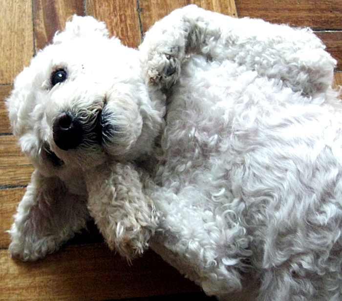 Nothing feels better than a good belly rub. Don't skip the good stuff.