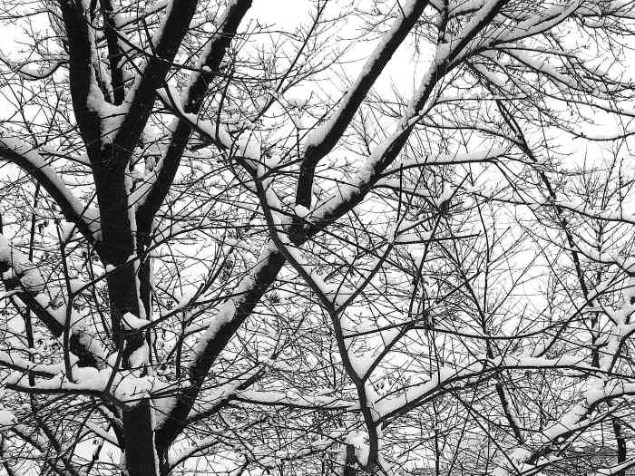 When the weather outside turns cold and icy, make sure your pets or livestock are protected from the harsh elements of winter.
