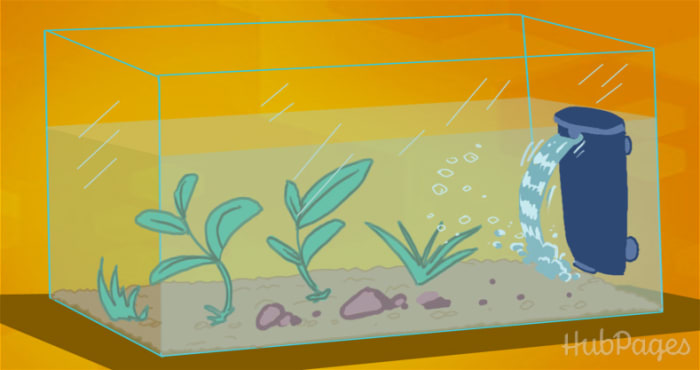 All types of filters—submersible, hang-on, and external—are great choices. Pick one that is easy to use and that will be most practical for your aquarium.