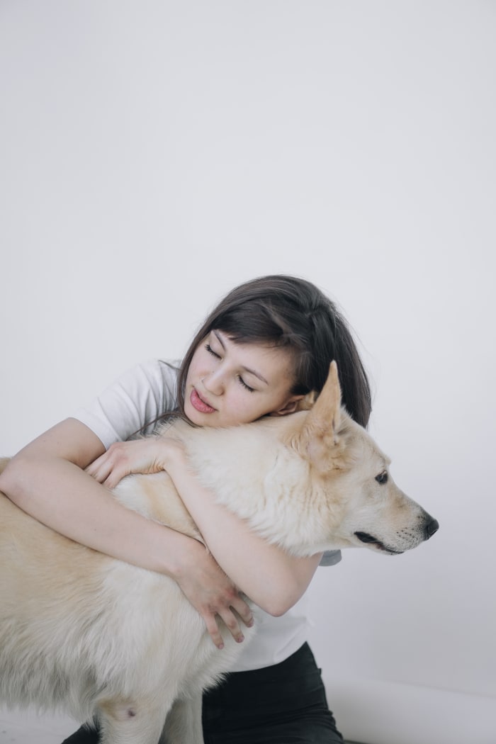 Muestra tu amor por el animal llevándolo al veterinario en cuanto parezca que está incómodo.