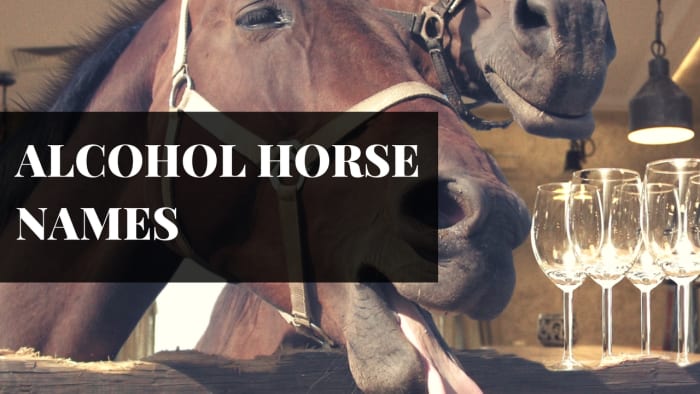 250+ Awesome Horse & Racehorse Names - PetHelpful - By fellow animal lovers and experts