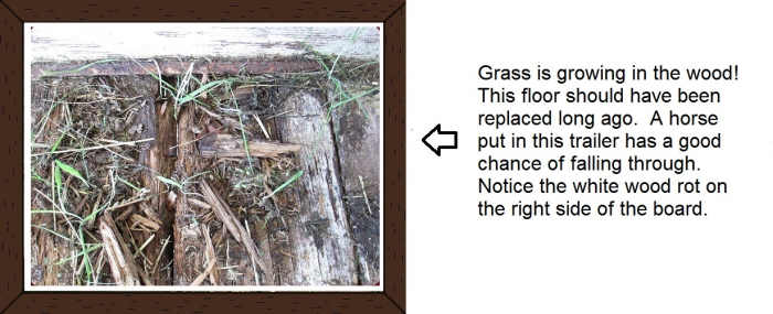 If floorboards show signs of weakness such as grass or fungus growing, it's time to replace the boards.