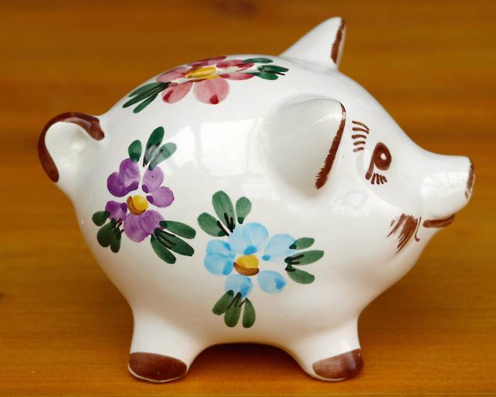 It's important to save for pet emergencies. A piggy bank may work, but a savings account at a bank is probably a better idea.