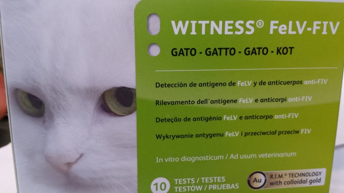 In-house testing for FIV is quick and simple, and it should be performed on every cat with a history of being bitten.