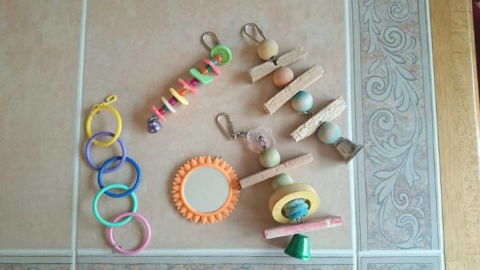 A few plastic, a few wooden, and a mirror toy is a good variety to have in a birdcage. Do not place too many mirrors.
