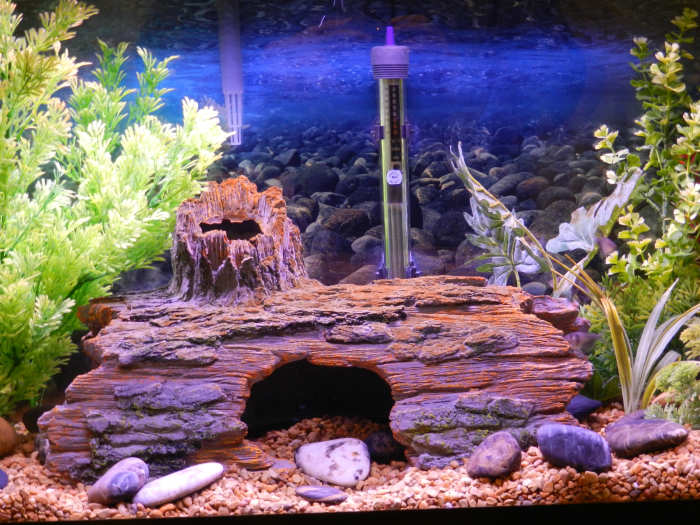 Artificial decorations don't quite have the same magic as live plants, natural driftwood and stone, but they are a bit easier to clean.