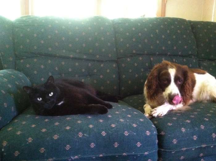 Wait . . . cats are allowed in here? Lady hanging with her best feline pal, Bella the cat