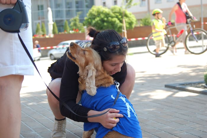 Un proprietario che allevia l'ansia da separazione del suo cane.'s separation anxiety.