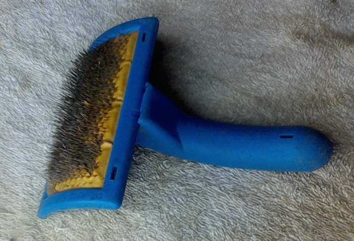 An excellent example of a curved dematting brush. Its curved surface and sharp, curved pins can remove most of the dead and matted hair.