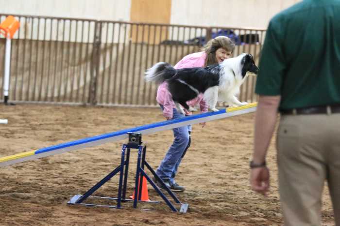 The author feeding Aenon approval and happiness during their second attempt at the teeter.