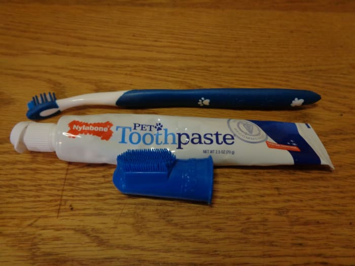Some of Luna's supplies. Along with the pet toothbrush, we use the finger brush to get up in the mouth and around her tongue for more control. Be sure to only use pet approved paste and brushes for your dog.
