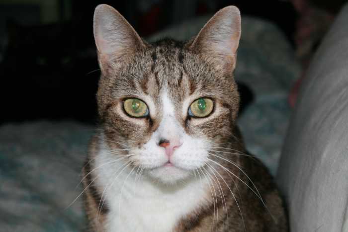"You mean I have to think about what they might like? I was just gonna give them some tuna. I like tuna."