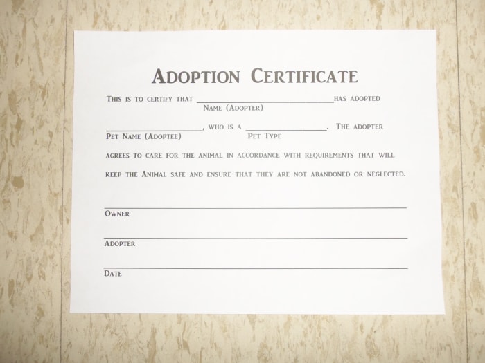Pet parents are usually happier with adopting animals from a shelter, since the animals are generally more loving than store bought animals (of course, there are always exceptions).