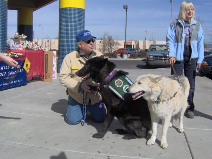The black dog on the left is an Alaskan Noble Companion Dog
