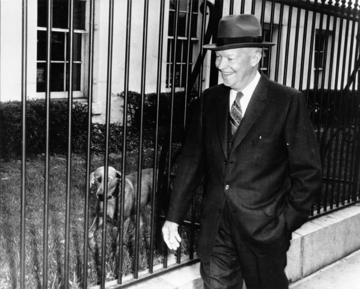 Heidi walks beside the President as he returns to the Executive Office Building after a press conference on March 11, 1959.
