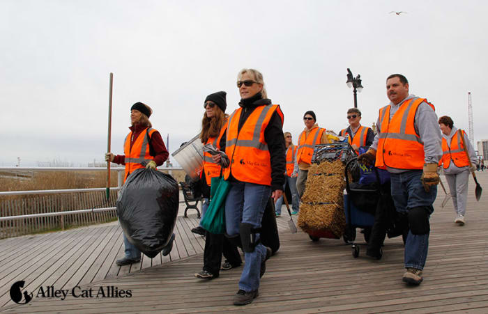 Volunteers, and members of Alley Cat Allies pick up trash at the home of the boardwalk cats of Atlantic City, New Jersey.