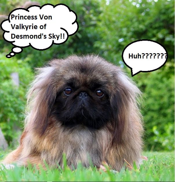 Short names are easier to work with. Convoluted names should be avoided, as they confuse not just your dog, but everyone involved.