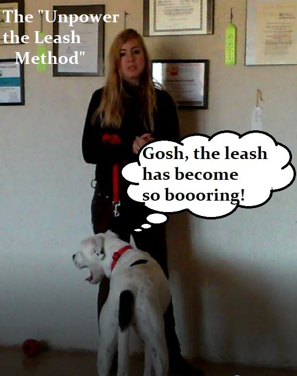By conditioning your dog to view the leash as a "neutral" object, you remove the stimulus.